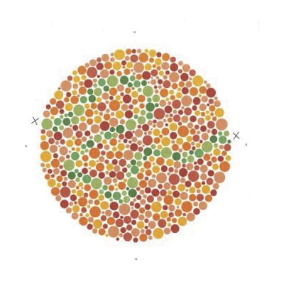 이시하라 색각 검사표 II 국제판 38표 02-3896-00 땜납이나 HP-1205A