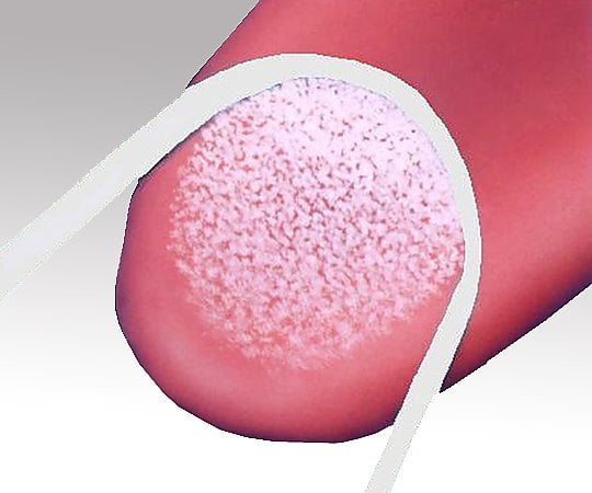 혀 브러쉬 클린 텅 (휴대 케이스 포함) 블루 1 개