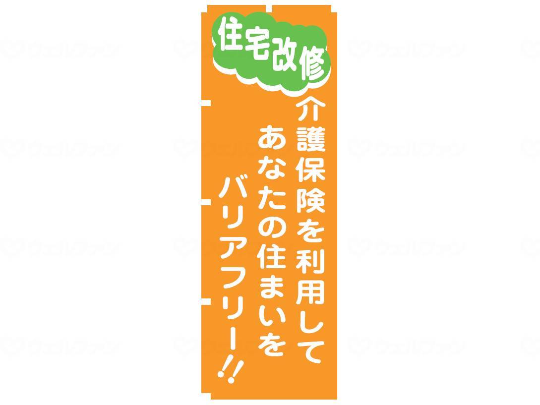 Wellfun Nobori Housing Renovation