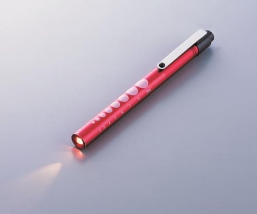 ソフトLEDアルカプッシュライト シルバー 1本