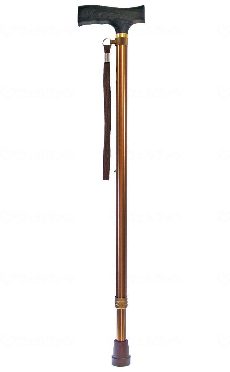 Wellfun Dream Life Stick, Extendable (Basic Type), Brown, Gift Box Specifications