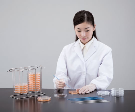 Disposable stick needle type, gamma ray sterilized, 1 box (10 sticks x 50 bags) DS-3 1 box (10 sticks x 50 bags)