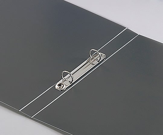 애즈퓨어 도전 파일 A4 2구멍 25mm 10권입 1봉(10권입)