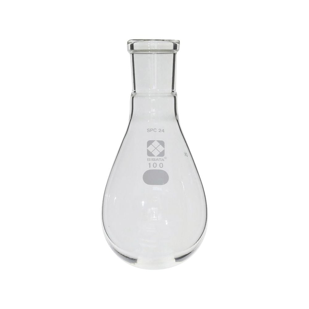 SPC Eggplant Flask 100mL 030120-24100 1pc