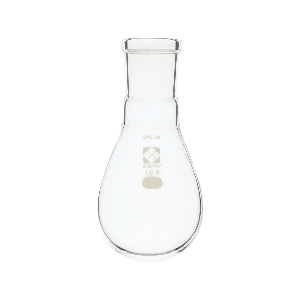 SPC Eggplant Flask 100mL 030120-29100 1pc