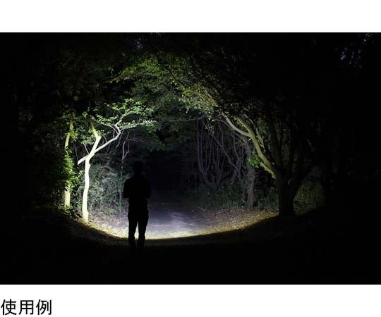 充電式LEDライト RX-286R 1個