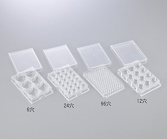 96-well plate, flat bottom, with cover, sterilized, 50 pieces, P96F09S, 1 box (1 piece x 50 bags)