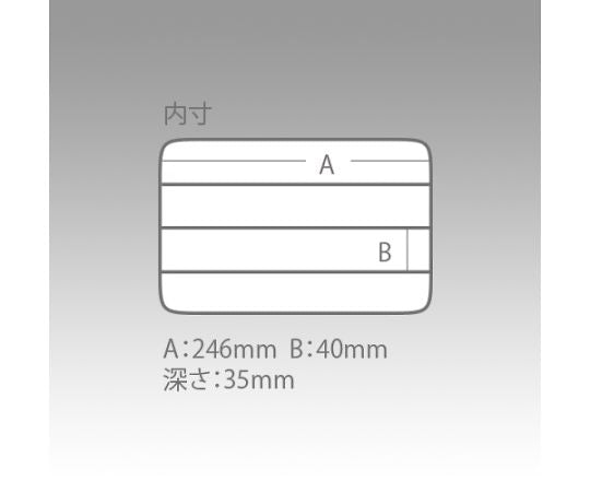 分別クリアケース 255×190×40mm C-1200ND 1個