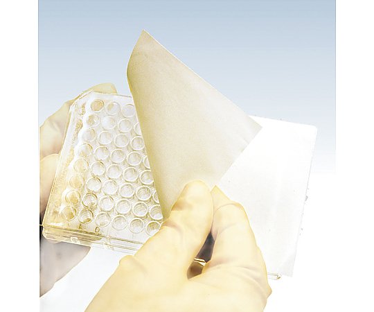 브리저블 실링 테이프 1상자(25장×2포입) 241205 1상자(25장×2포입)