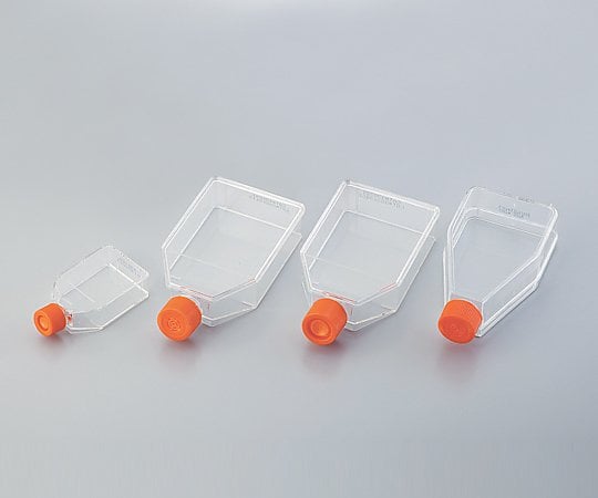 細胞培養用フラスコ(ベントキャップ/カントネック) 70mL 1ケース(20個×10包入) 430639 1ケース(20個×10包入)