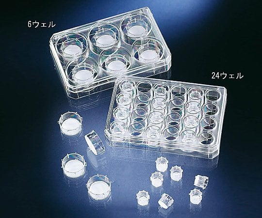 セルカルチャーインサート 1箱(6個×4袋入) 140640 1箱(6個×4袋入)