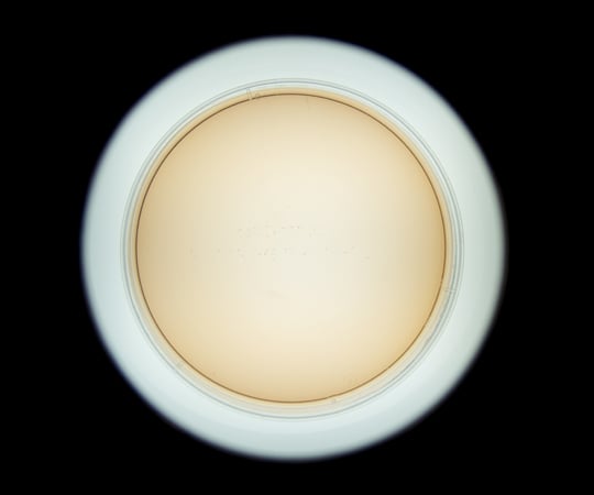 コロニー撮影キット 205×221×262mm KCS-1 1台