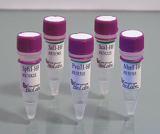 MfeI-HF R3589S 1 set