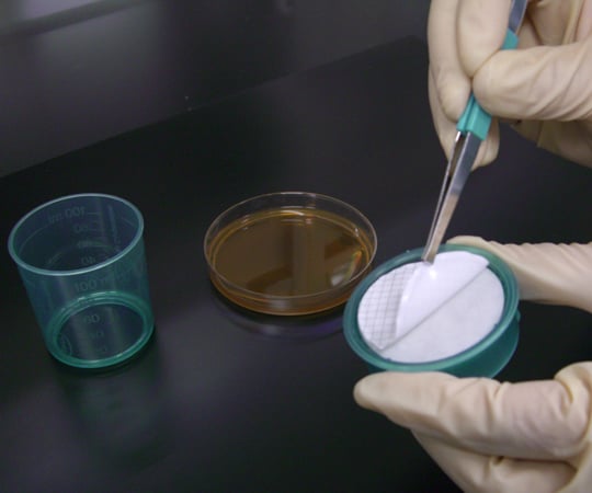 비버리지 모니터(마이크로 체크Ⅱ) 백색·흑 격자 0.45μm 50개입 4761 1상자(50개입)