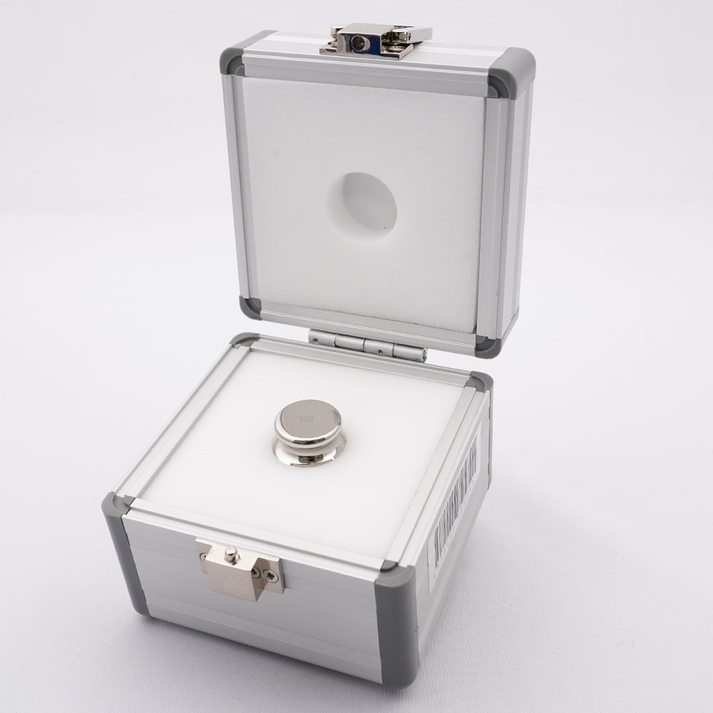 분동 F-1급 100g 1개