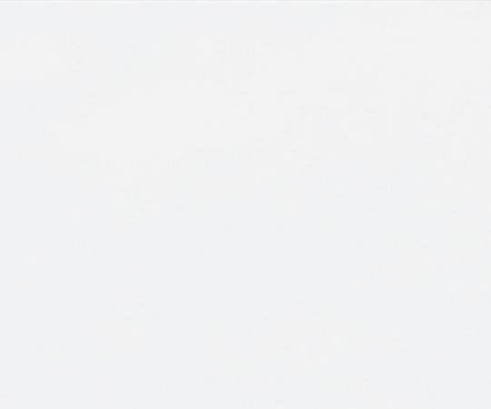 수성 다목적 페인트 수성 광택있는 우레탄 건물 용 흰색 0.7 1 캔