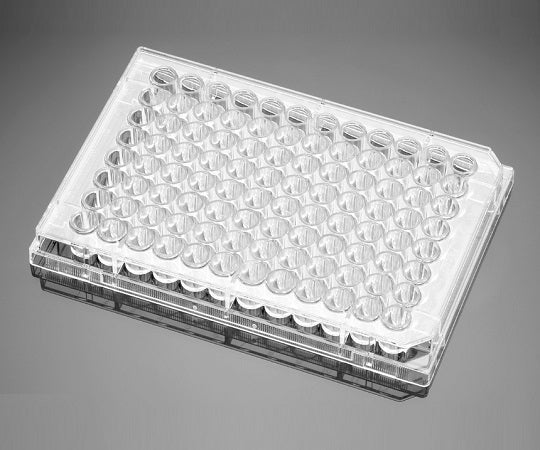 96 웰 투명 평저 미처리 셀 문화 플레이트 뚜껑 첨부, 개별 포장, 멸균, 50장/케이스 351172 1상자(50장입)