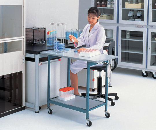 New Lab Bench with auxiliary top BW 1 unit