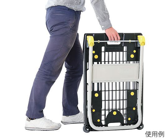 Medium-sized silent resin trolley NP-201GS 1 unit