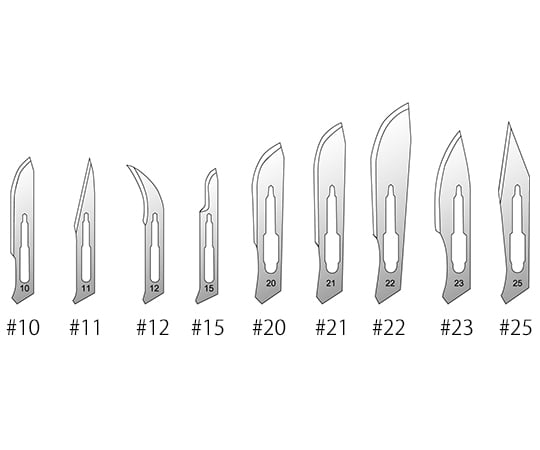 Dissecting scalpel (replacement scalpel blade) Compatible holder #3 100 pieces #10 1 pack (100 pieces)