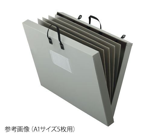 Display panel case for 10 B2 size panels B2-10 1 piece