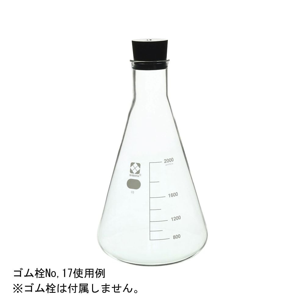 三角フラスコ 2000mL 010530-2000 1本