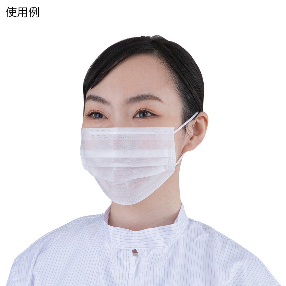 Azpure 2PLY mask, ear hook type, 2000 pieces, 1 box (50 pieces x 40 bags)