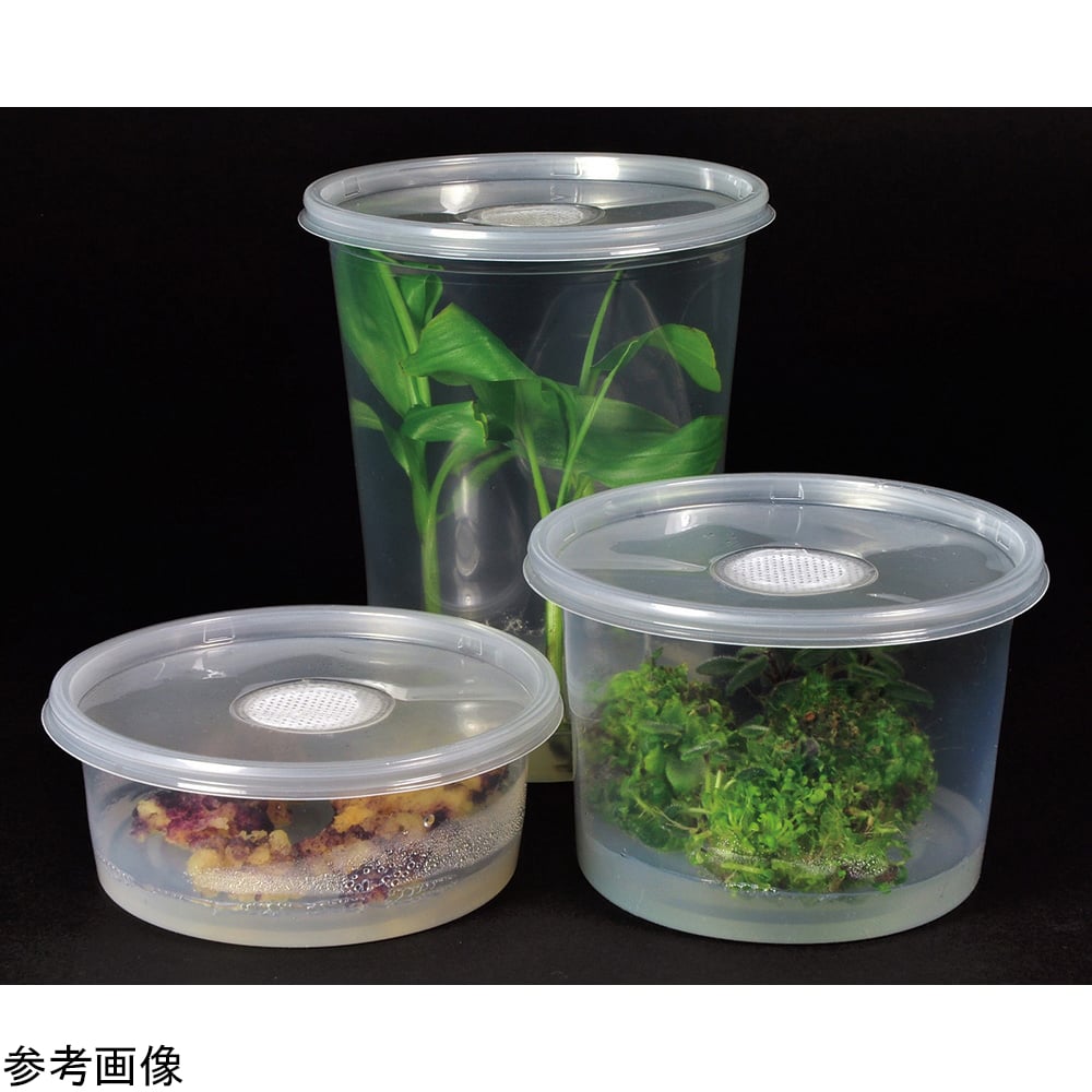 植物培養容器(PhytoCon)ベント付きフタ 10個入 C174-10EA 1箱(10個入)