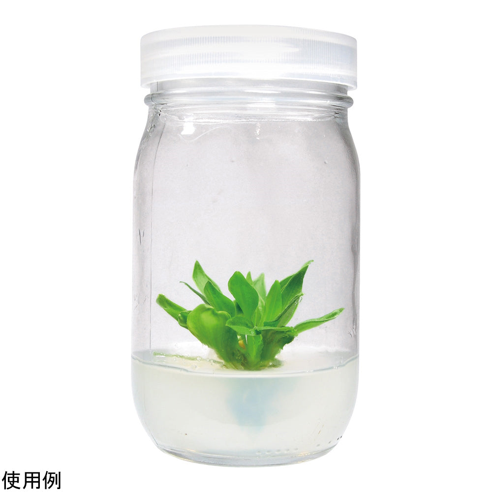 Plant culture container Glass container + non-vented lid 12 pieces C590-12EA 1 box (12 pieces)