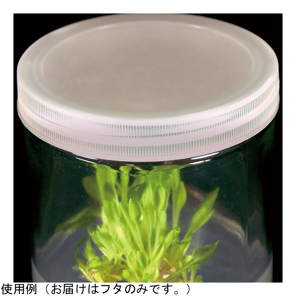 植物培養容器 ベントなしフタ 100個入 C566-100EA 1箱(100個入)