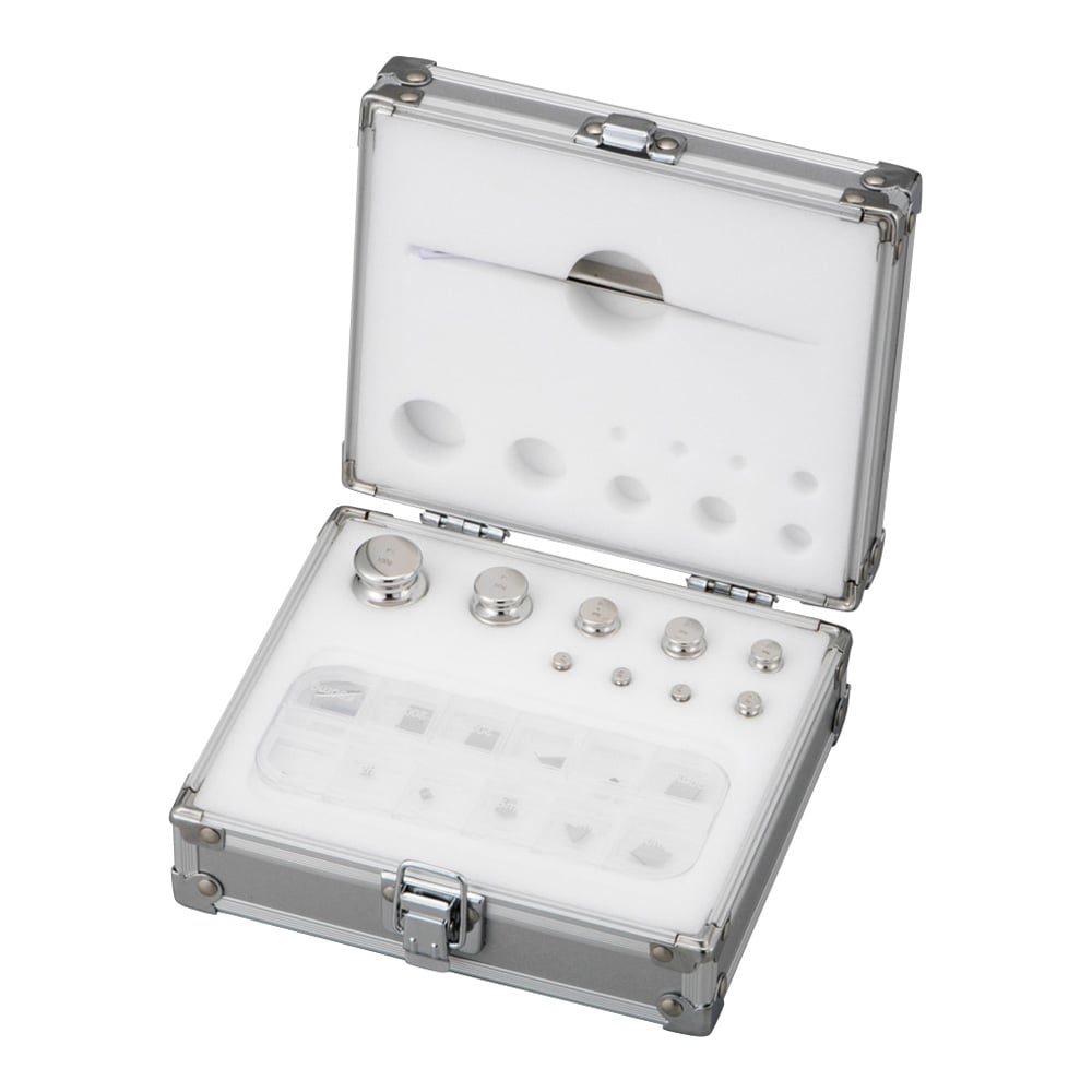 分銅セット WS1F100 1個