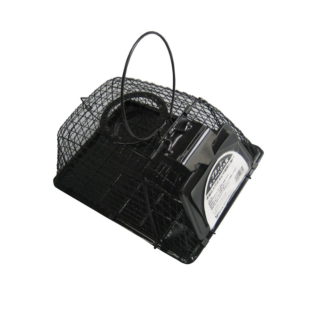 컴파르 쥐 포착기 블랙 츄하우스형 1개