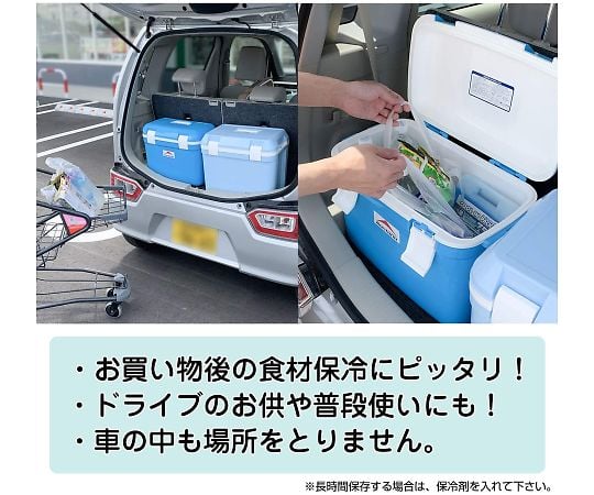 クーラーボックス フォレストクルー#13 620484 1個