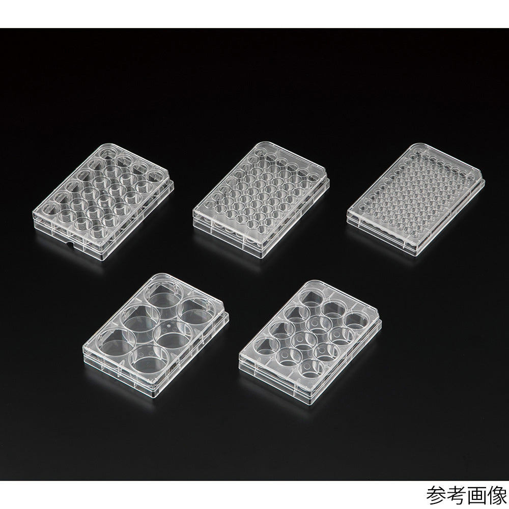 비오라모 부유 세포용 배양 플레이트α 6웰 1상자(50포입) VFα-P6 1상자(50포입)