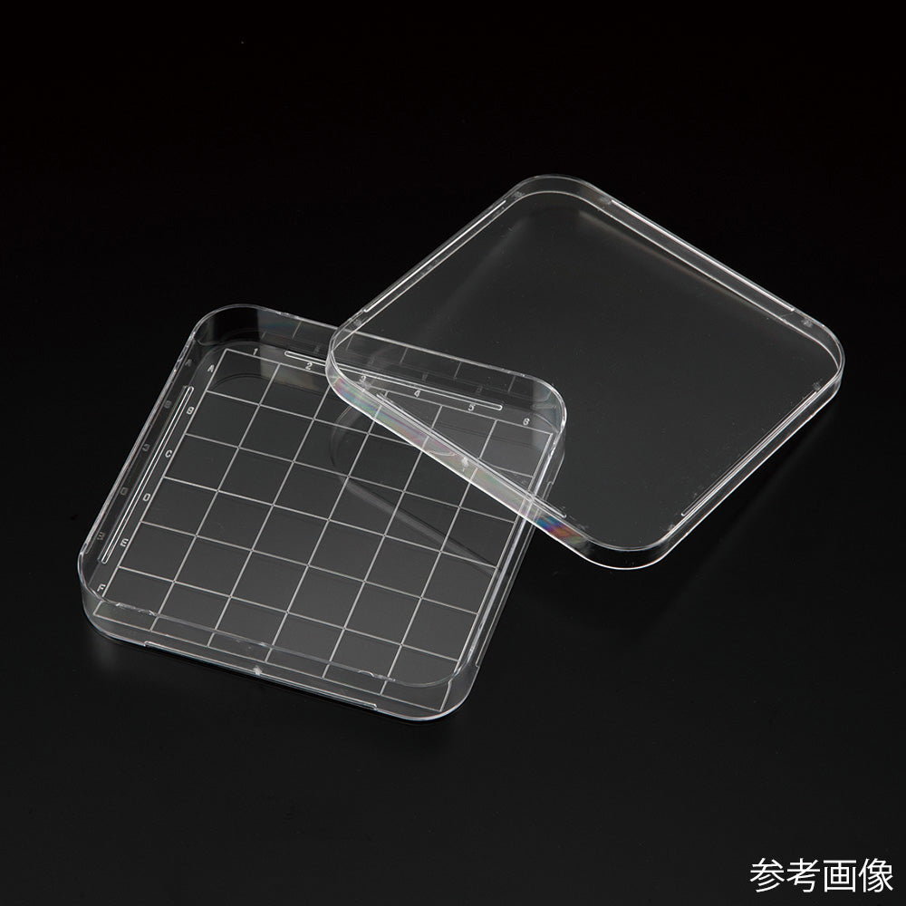 ビオラモスクエアペトリディッシュ 1箱(10枚×24包入) VSD-126 1箱(10枚×24包入)