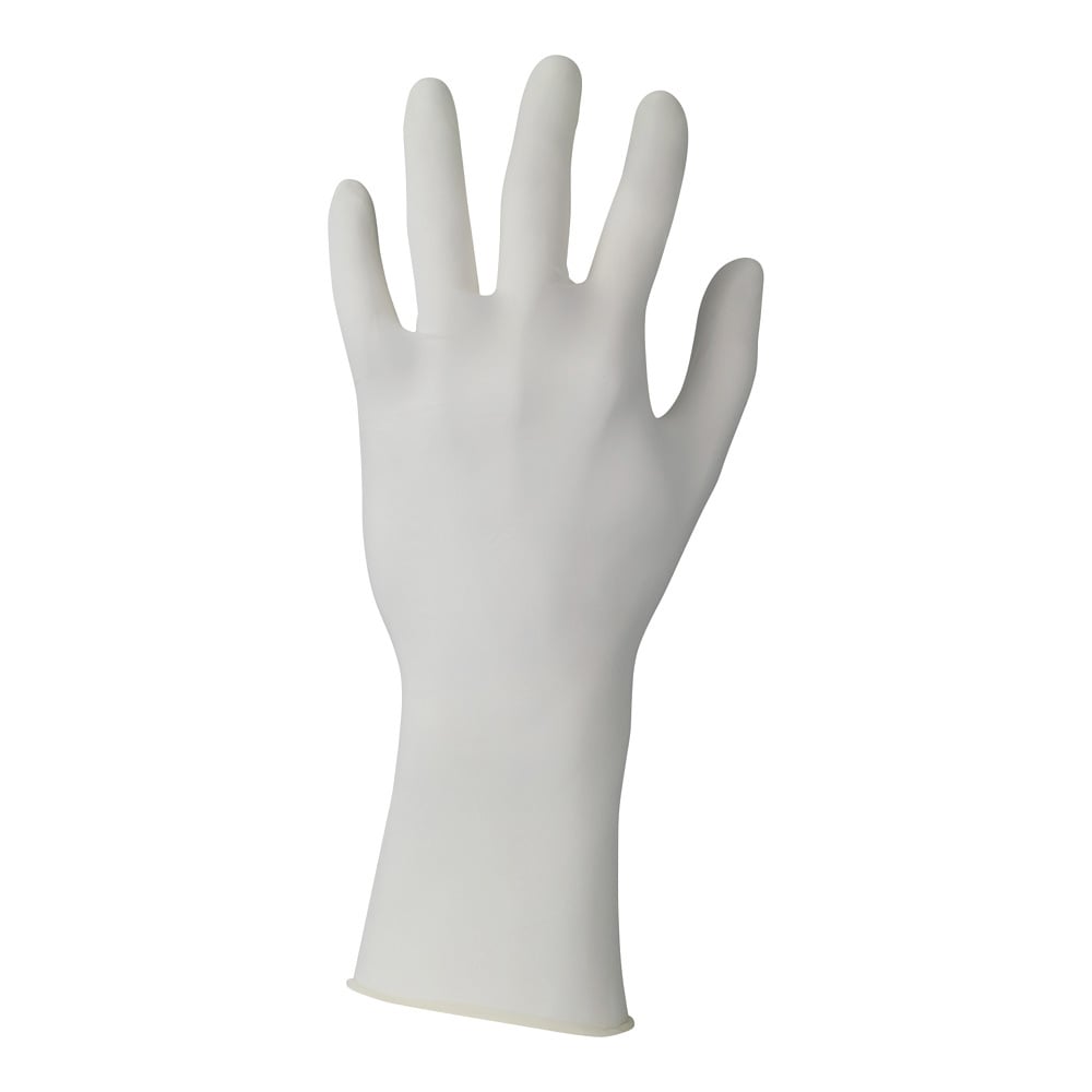 Cleanroom Nitrile Gloves (93311) L (8.5-9) 1 pack (50 pieces/bag x 2 bags) 93311090 1 pack (50 pieces x 2 bags)