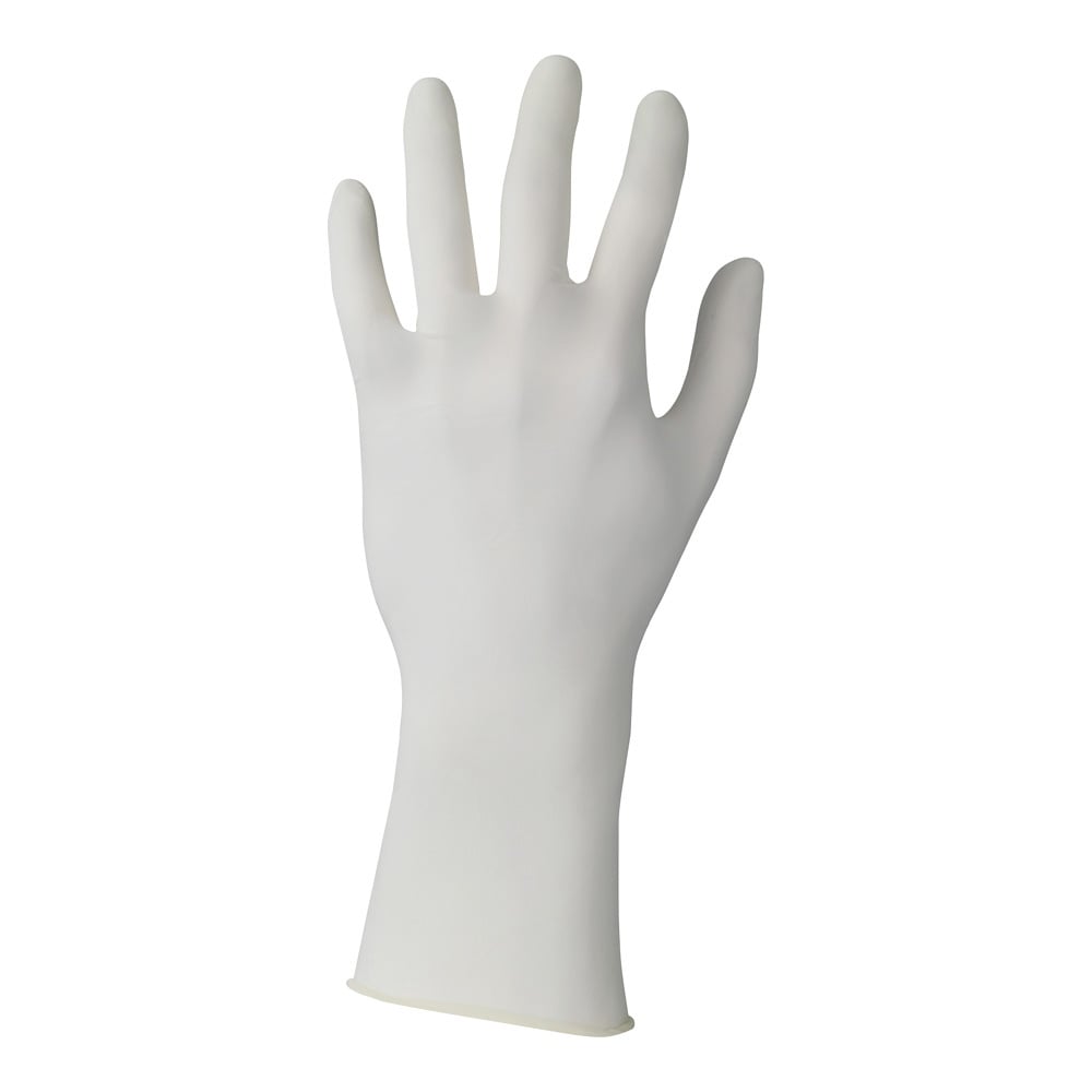 Cleanroom Nitrile Gloves 93401 L (8-8.5) 93401085 1 pack (50 gloves x 2 bags)