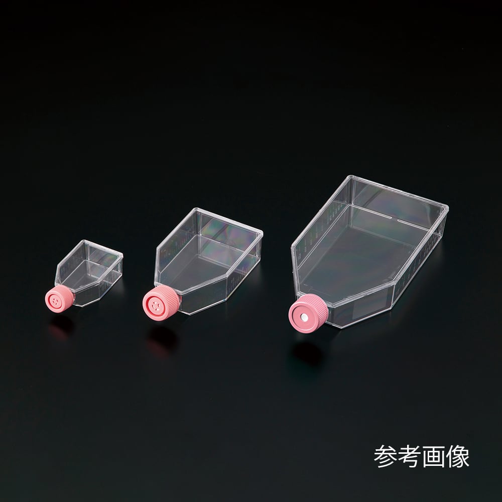 비오라모 세포 배양 플라스크α(벤트 캡) 75cm2 1상자(5개×20포입) VTCa-F75V 1상자(5개×20포입)