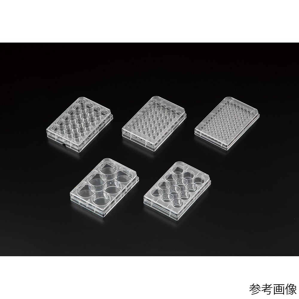 비오라모 세포 배양 플레이트 α 6웰 1상자(50포입) VTCa-P6 1상자(50포입)