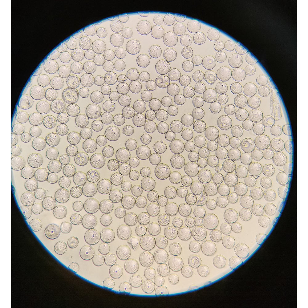 球体バイオキャリアー 25g入 C100025 1本(25g入)