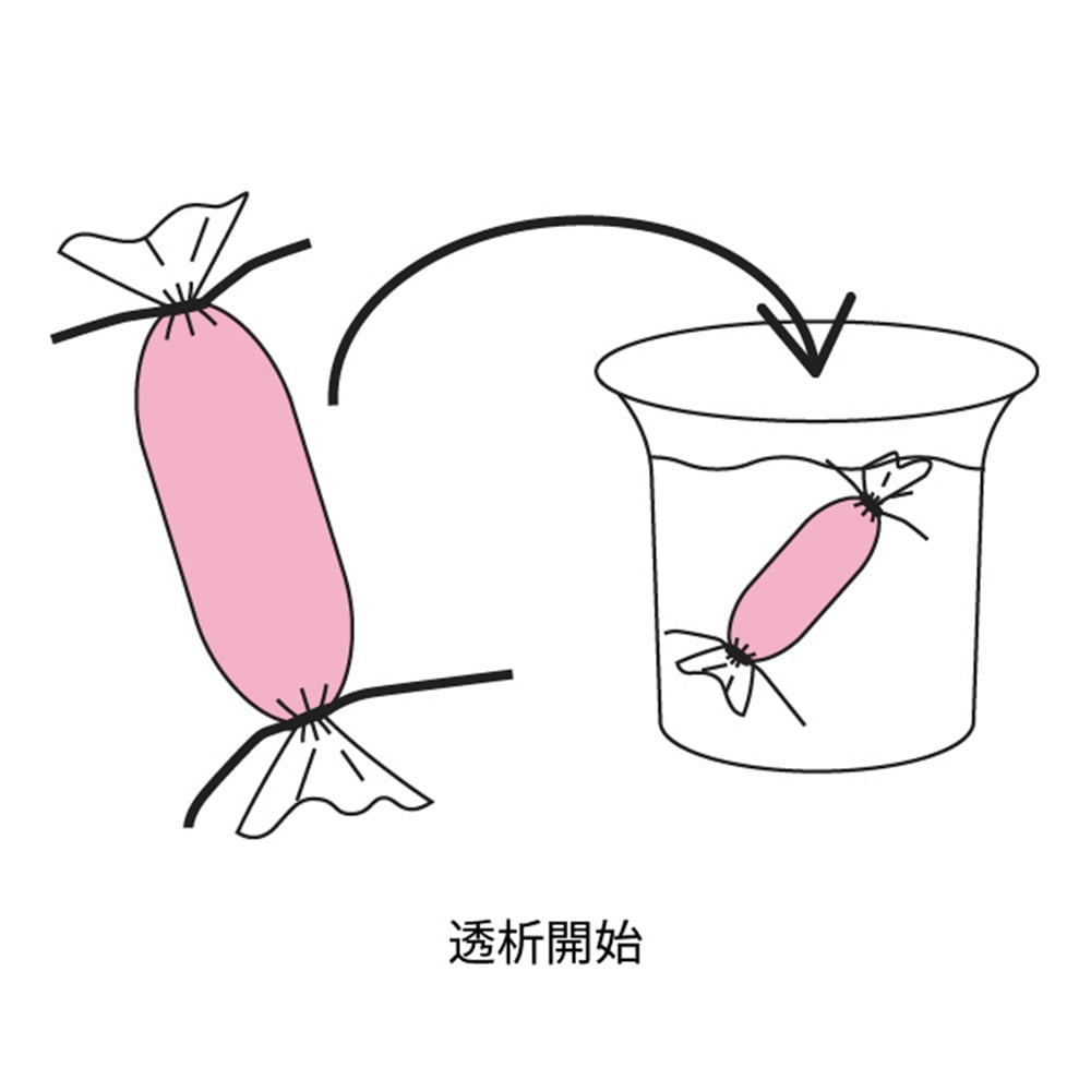 透析チューブキット 20mL 3.5kDa 1セット(10本+ホルダー入) MEGA DANDY TUBE 1セット