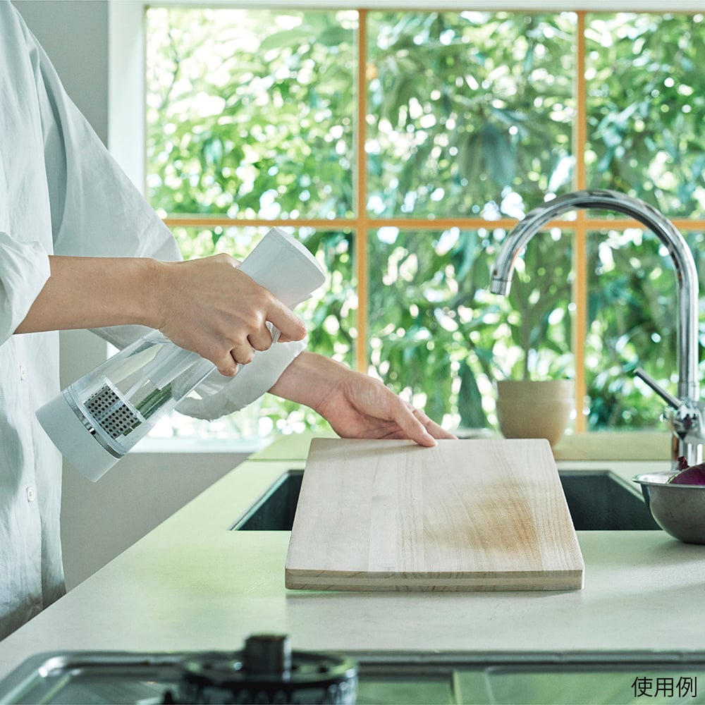 앳 라이프 이슬리 엑스 (고기능 살균 스프레이) 1개