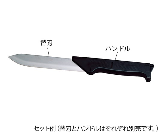 해부도(뇌도) 교체날 170mm 5장입 No.170 1상자(5장입)