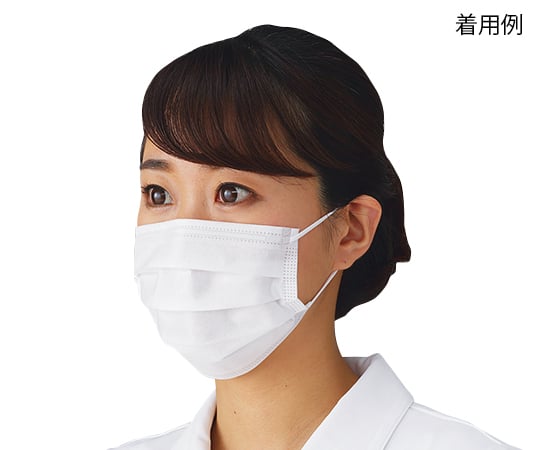 프로레인 (R) 마스크 (레벨 2) 1상자(50장입) PLEJMK2883 1상자(50장입)