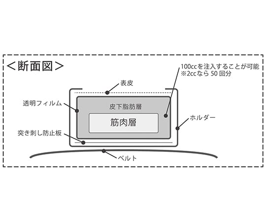 Injection model (intramuscular and subcutaneous injection practice kit) Full set 44332 1 set