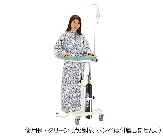 Raku-Raku Arukun(R) Low-floor type (with cylinder rack) Green Rkun-LGP 1 unit