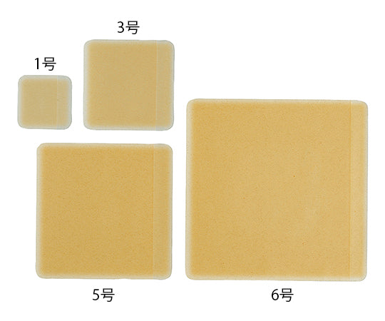 バイオヘッシブ®Ag・ライト 1号 60×60mm 10枚入 19611 1箱(10枚入)