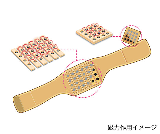 NAC-BAN (magnetic waist support) LL 1 piece
