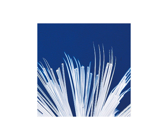 물통・병용 브러쉬 KT676 1개