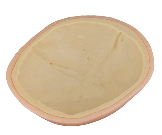 訓練用モデル(ナビトレ) 頭部縫合モデル 1式